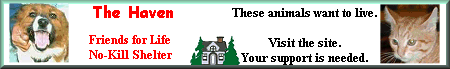 The Haven